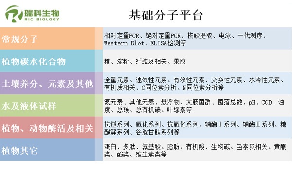 基础分子平台